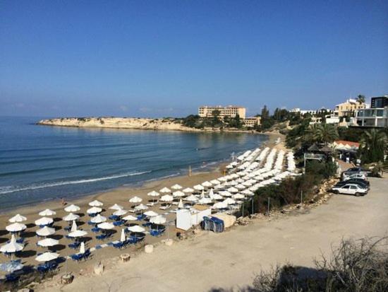 Paradise Gardens IV 2 Bd Amazing Apartment Paphos Eksteriør billede